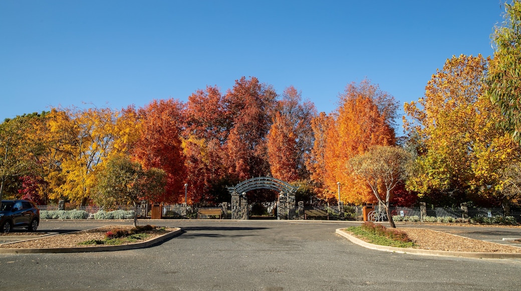 Orange Botanic Gardens showing fall colors