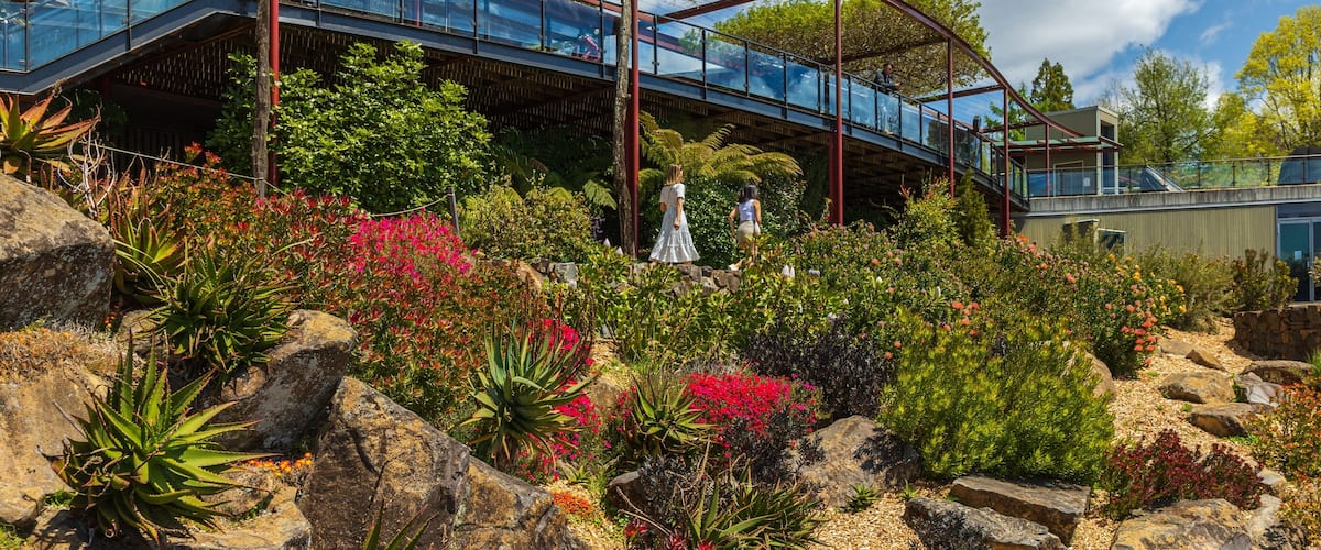 Blue Mountains Botanic Gardens, Mount Tomah showing flowers and a park
