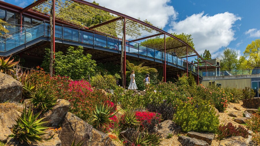 Blue Mountains Botanic Gardens, Mount Tomah showing flowers and a park