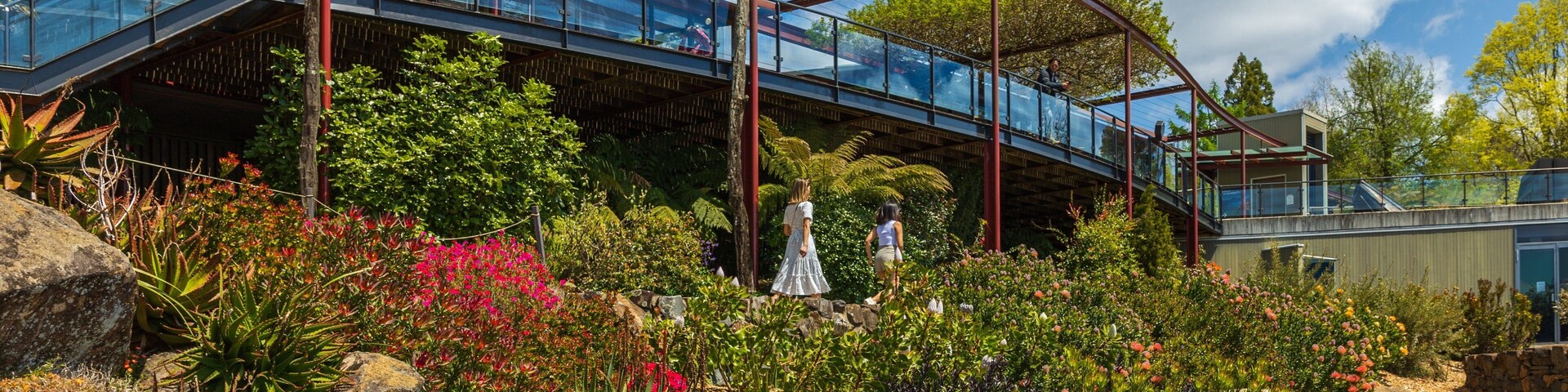 Blue Mountains Botanic Gardens, Mount Tomah showing flowers and a park