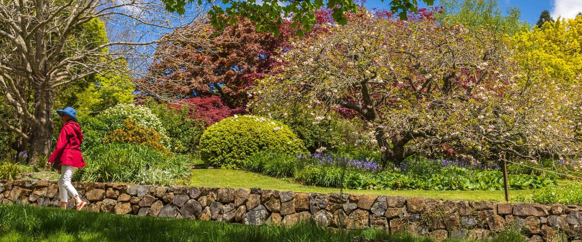 Blue Mountains Botanic Gardens, Mount Tomah showing a garden as well as an individual femail