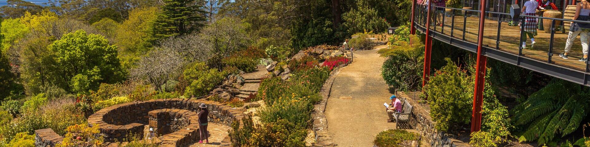 A garden with a stone pathway, a wooden bridge, and a viewing platform.