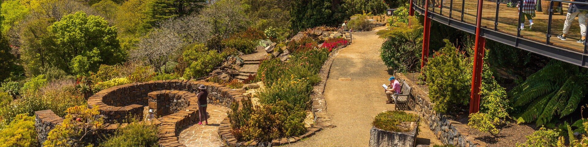 Blue Mountains Botanic Gardens, Mount Tomah which includes a garden