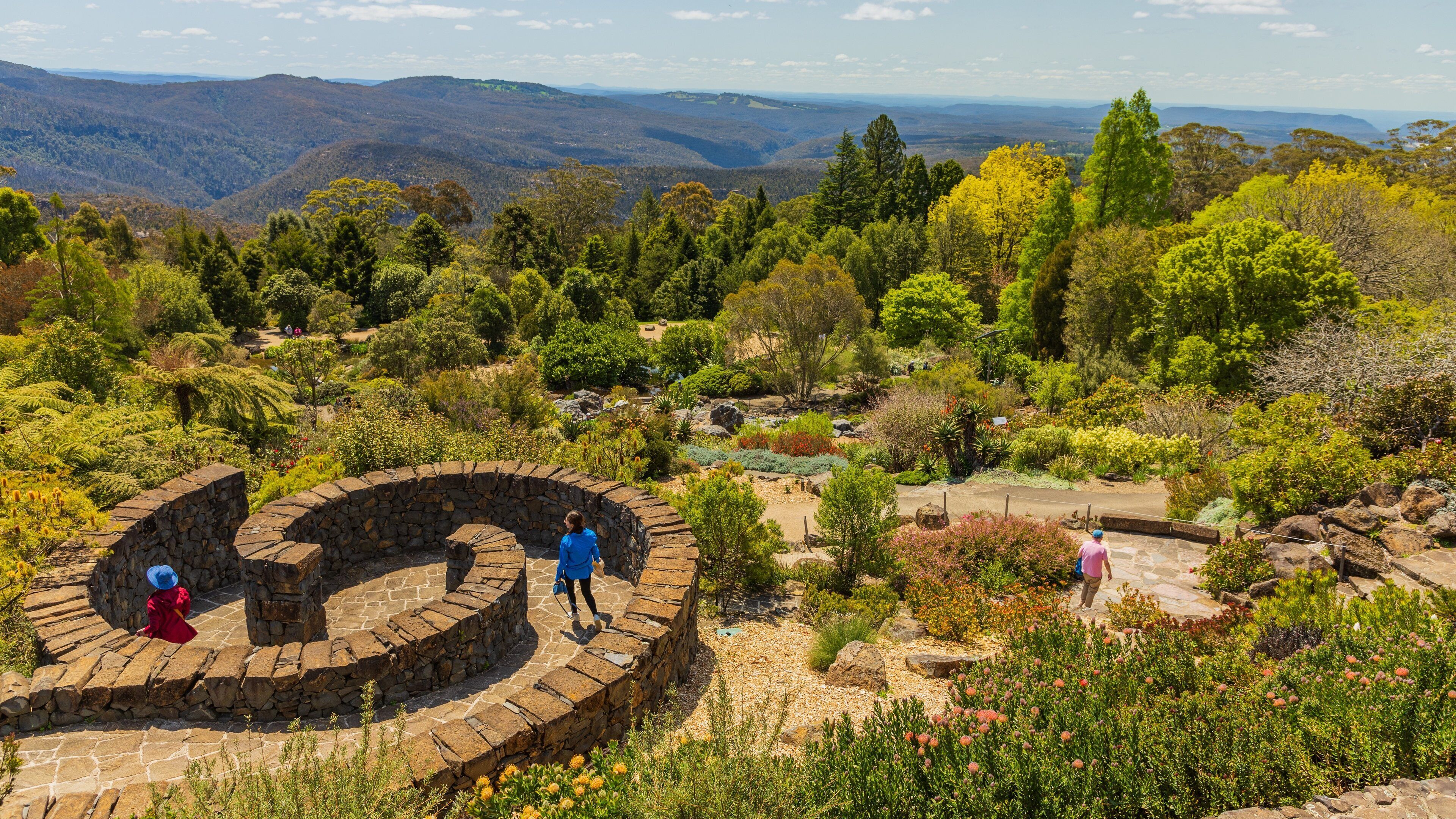 Blue Mountains Botanic Gardens, Mount Tomah showing a park, tranquil scenes and landscape views