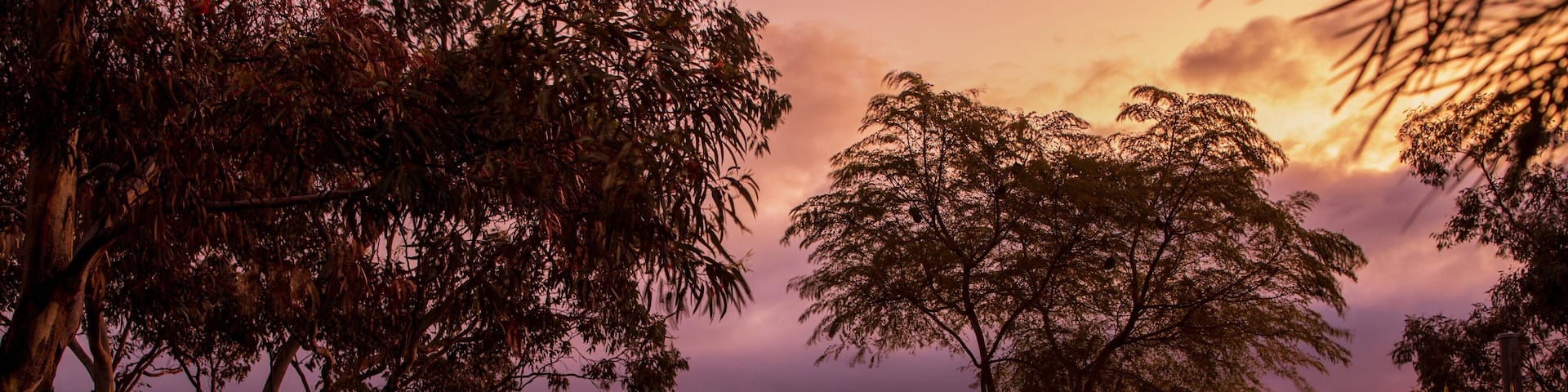 Oxley Scenic Lookout featuring a sunset and views as well as a couple