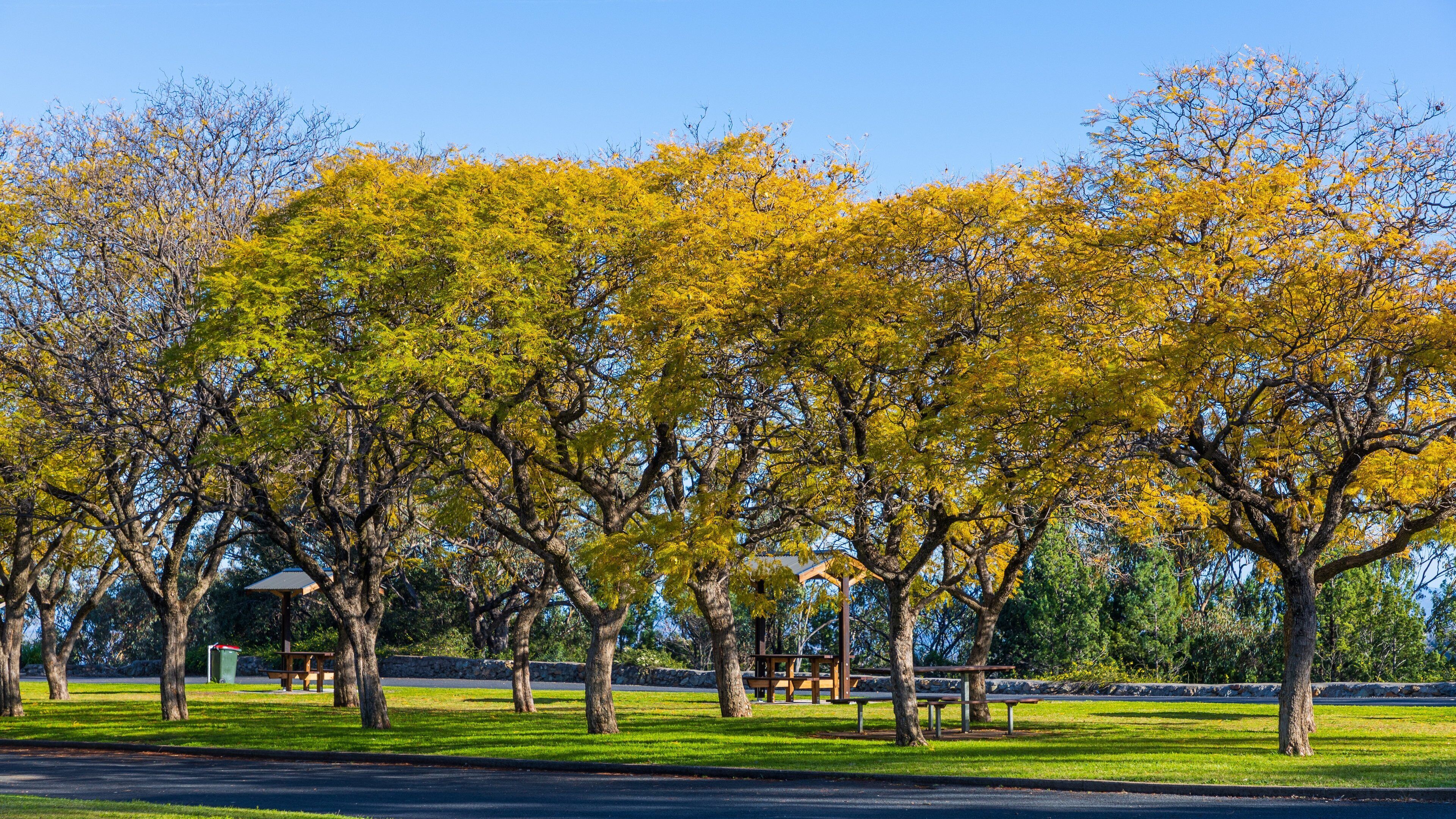 Oxley Scenic Lookout featuring a park