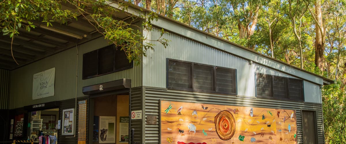 Koala Hospital showing outdoor art