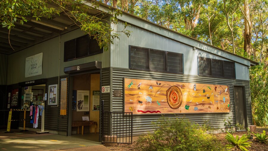 Koala Hospital showing outdoor art