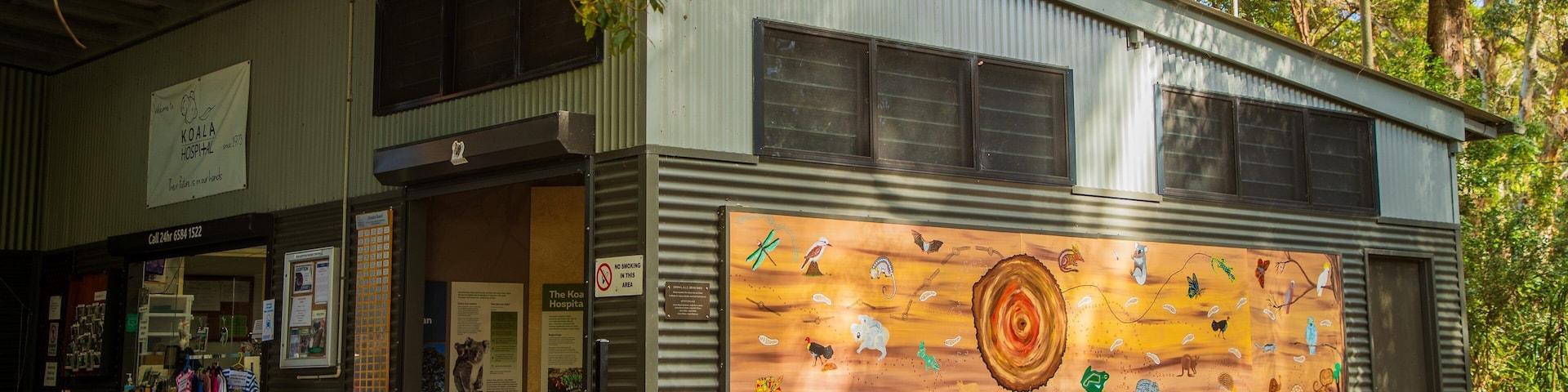 Koala Hospital showing outdoor art