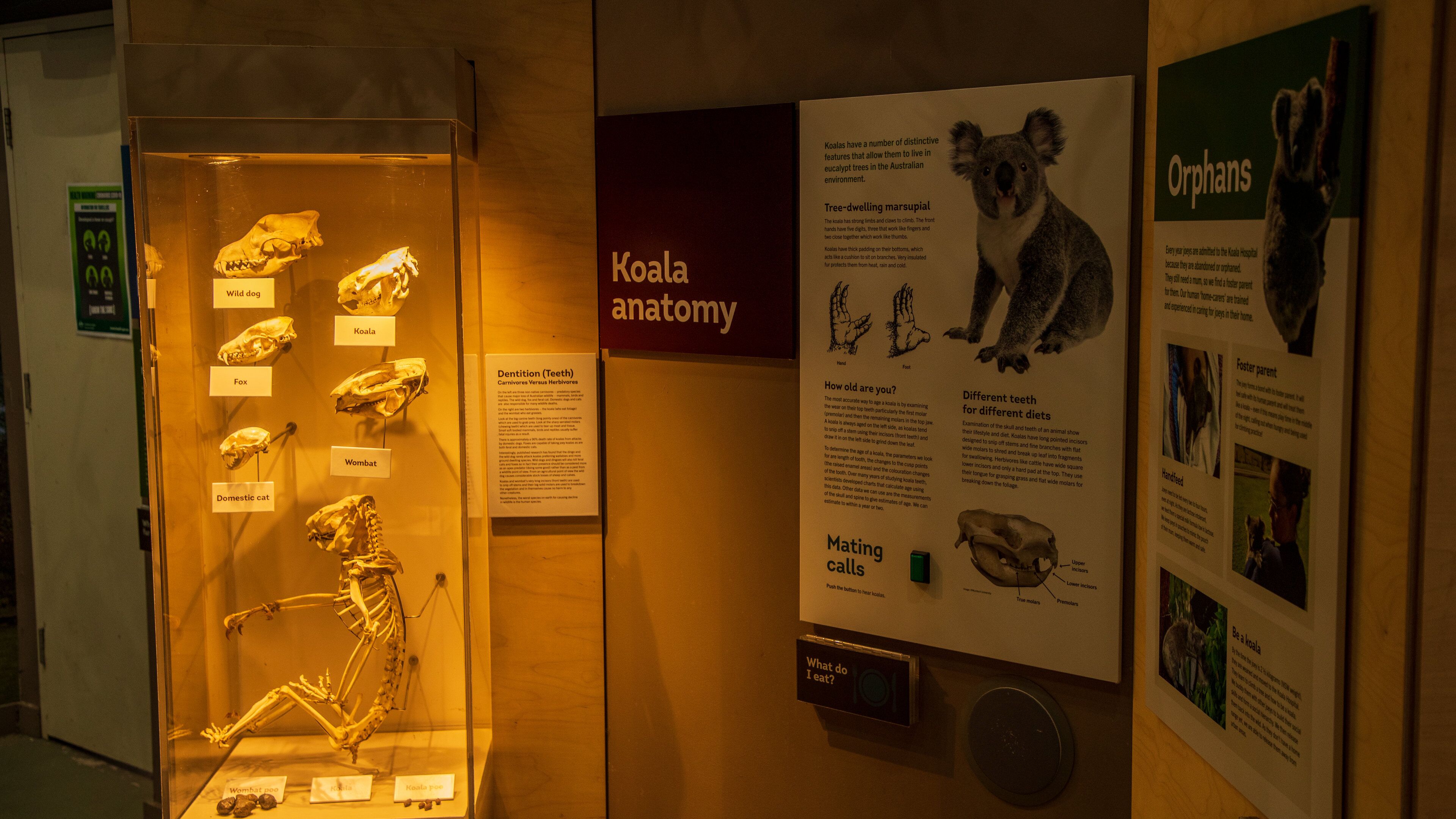 Koala Hospital featuring signage and interior views