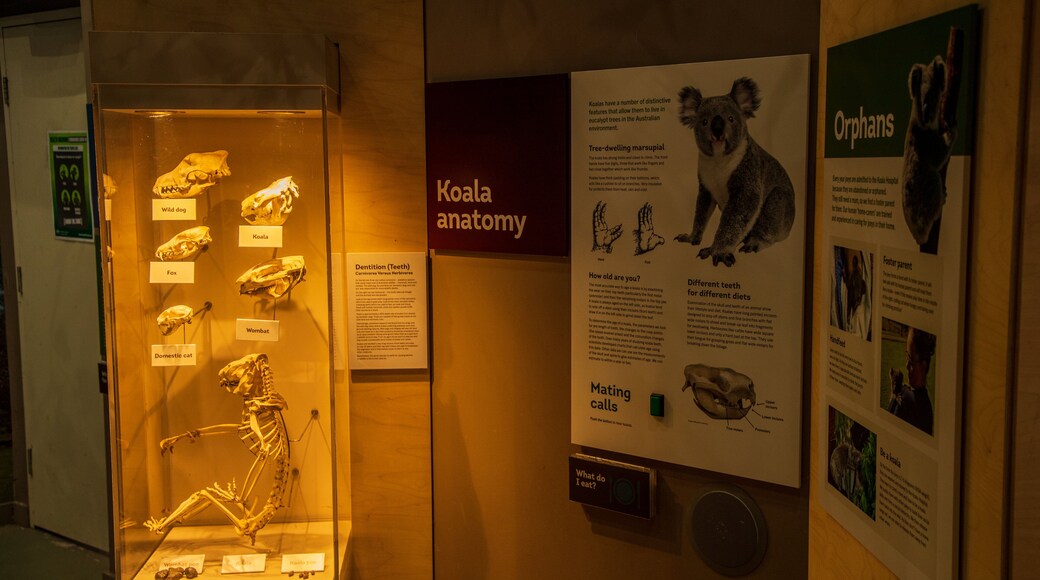 Koala Hospital featuring signage and interior views