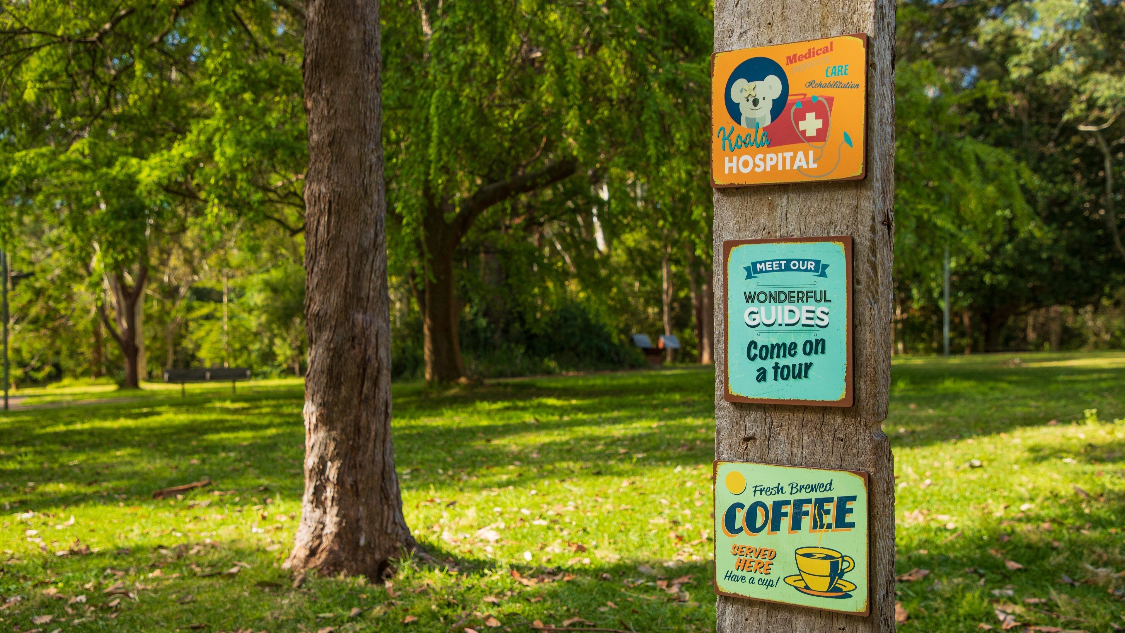 Koala Hospital which includes a garden and signage
