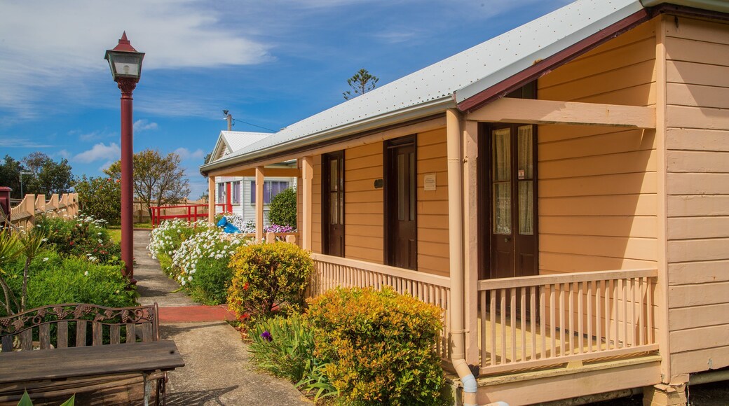 Mid North Coast Maritime Museum featuring a small town or village and wildflowers