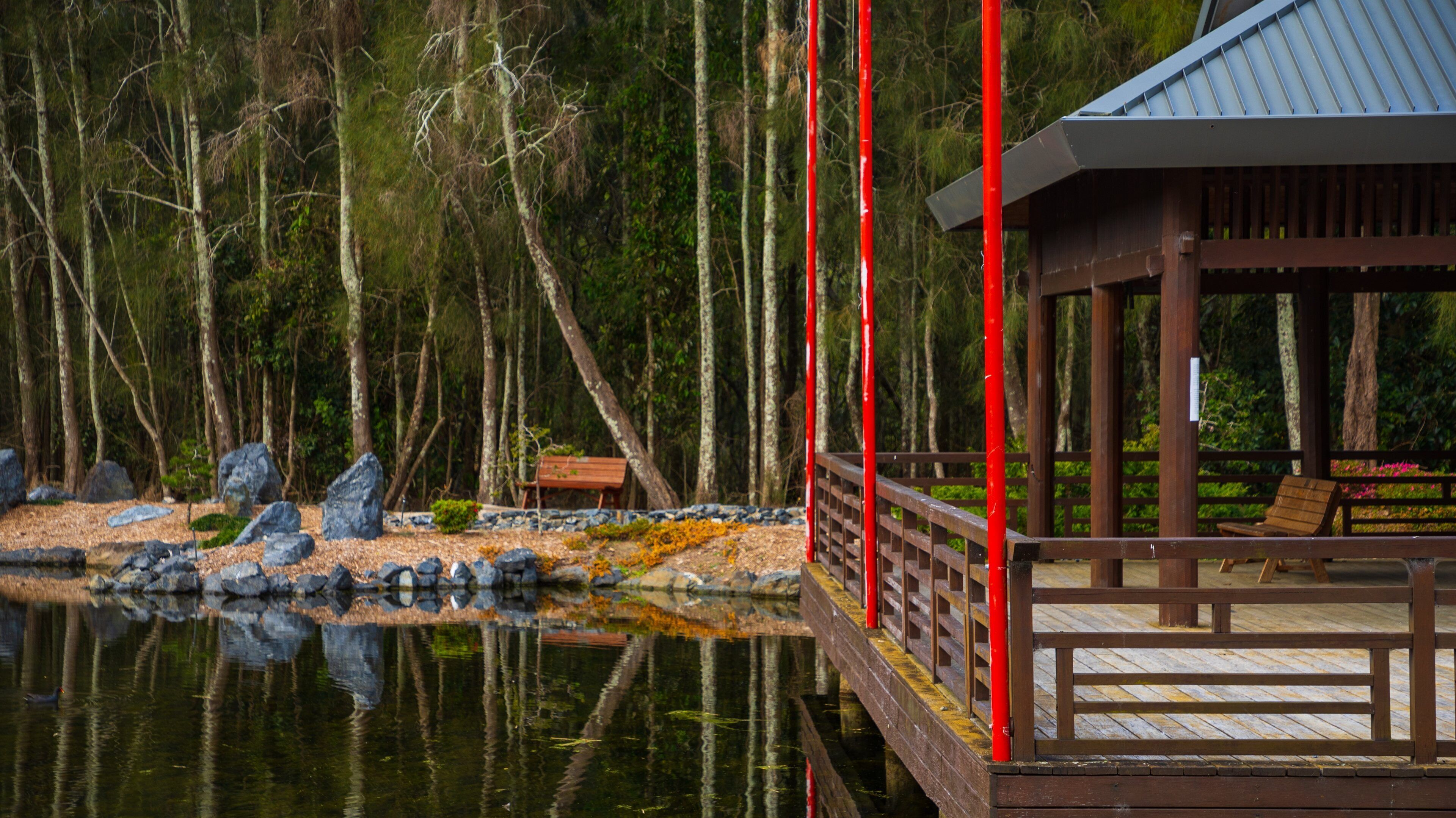 North Coast Botanic Gardens showing a pond