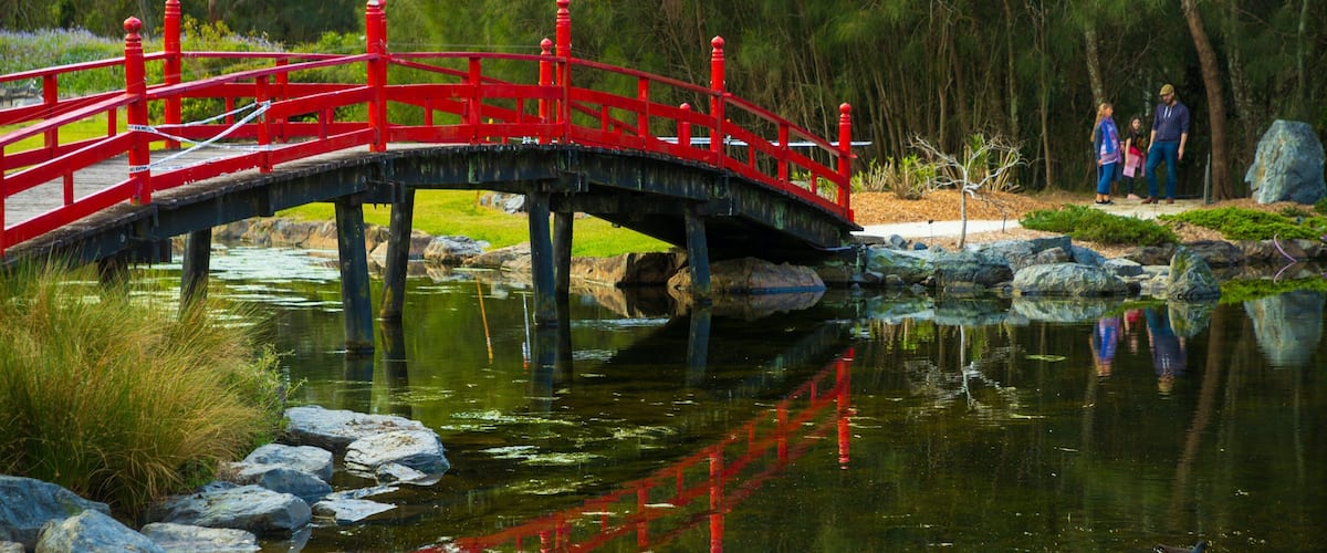 North Coast Botanic Gardens which includes a park, a pond and a bridge