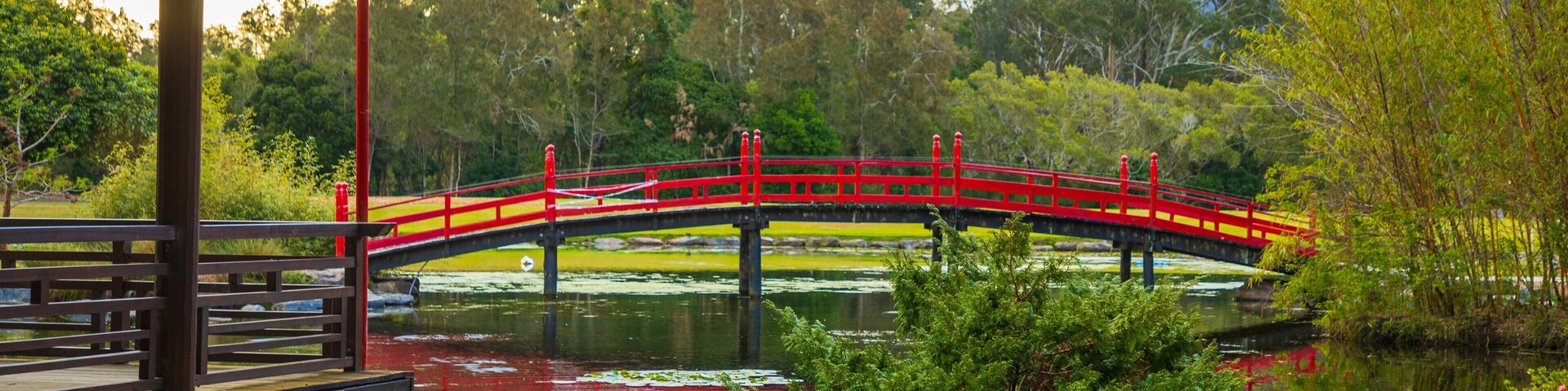 North Coast Botanic Gardens showing a pond and a bridge