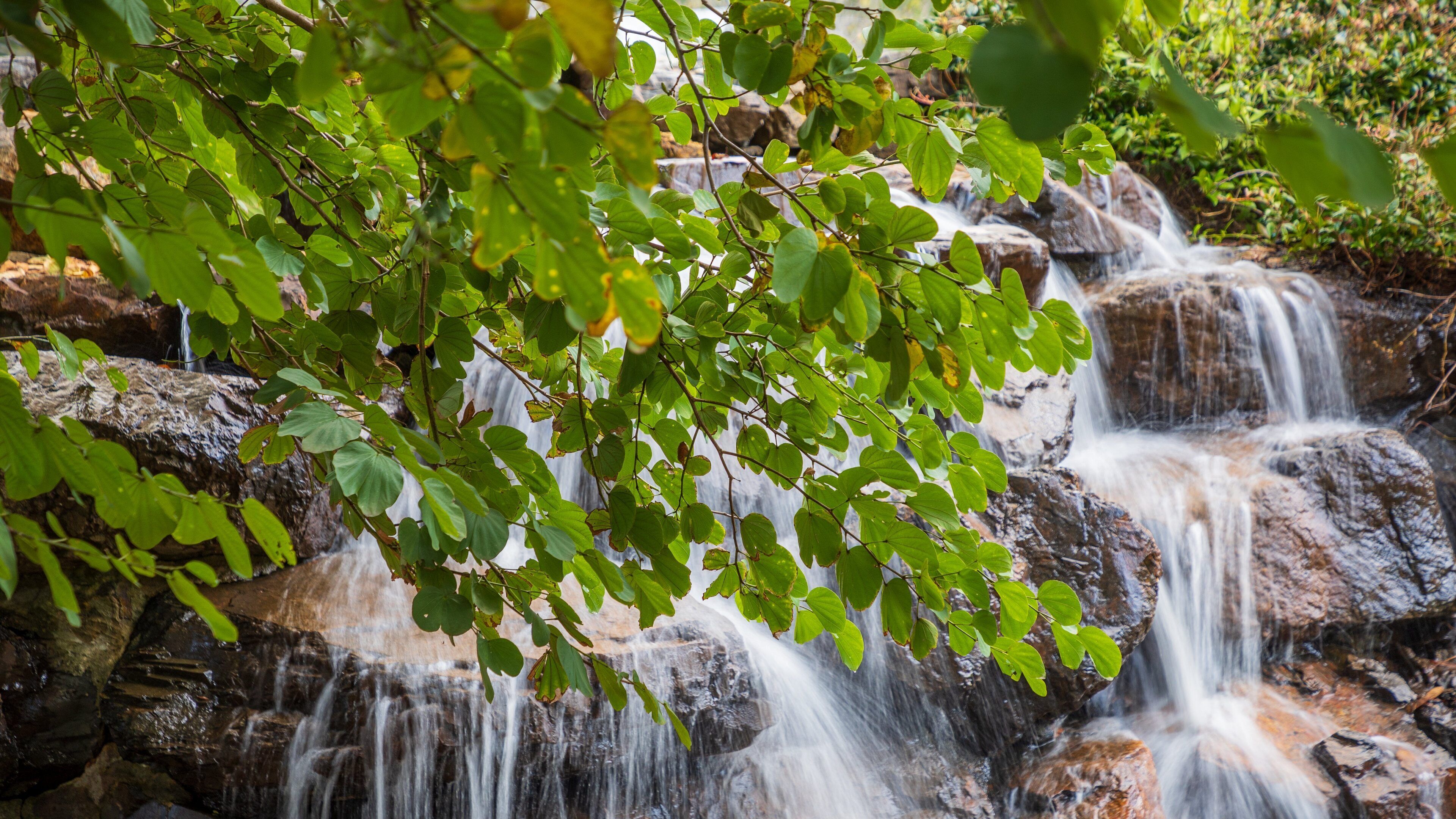 North Coast Botanic Gardens featuring a river or creek and a waterfall