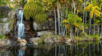 Kershaw Gardens featuring a pond and a cascade