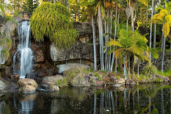 Kershaw Gardens featuring a pond and a cascade