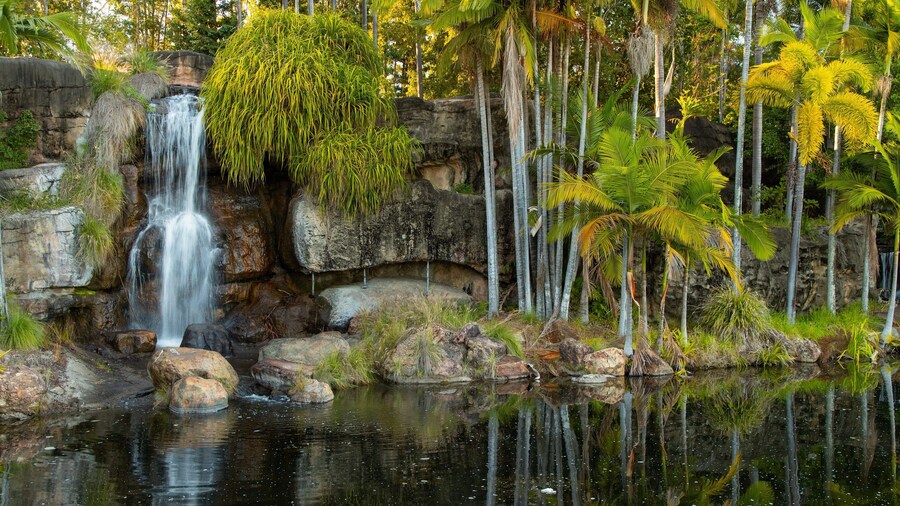 Kershaw Gardens featuring a pond and a cascade