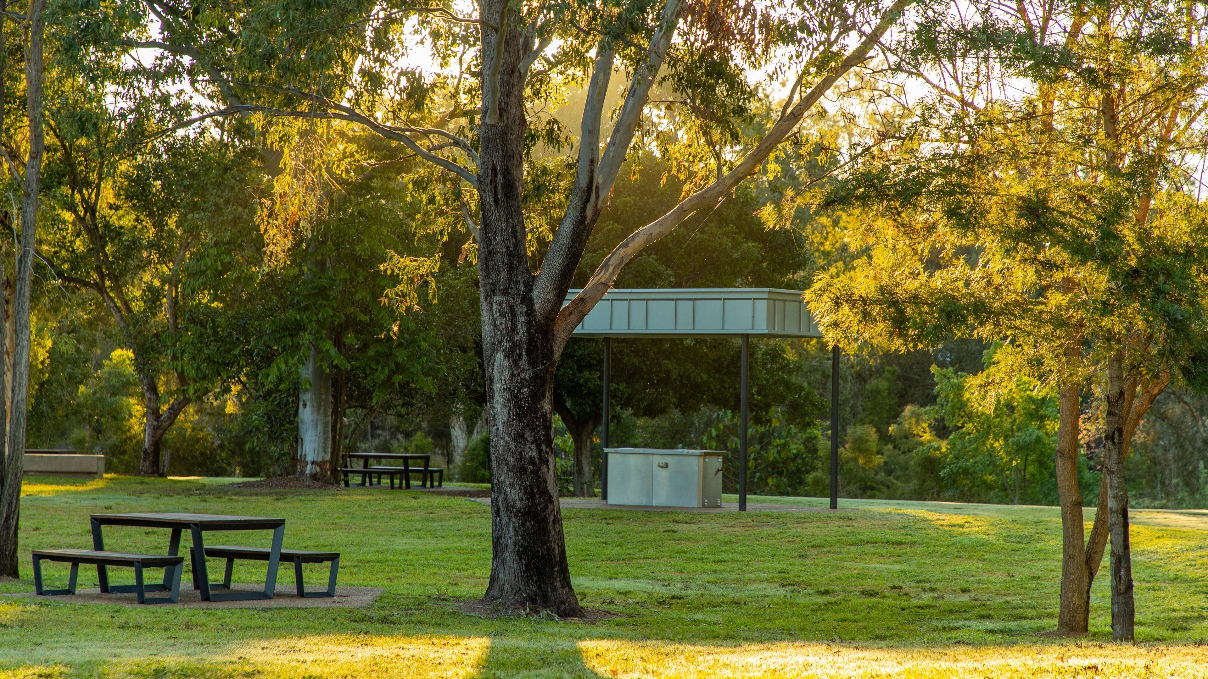 Kershaw Gardens showing a garden
