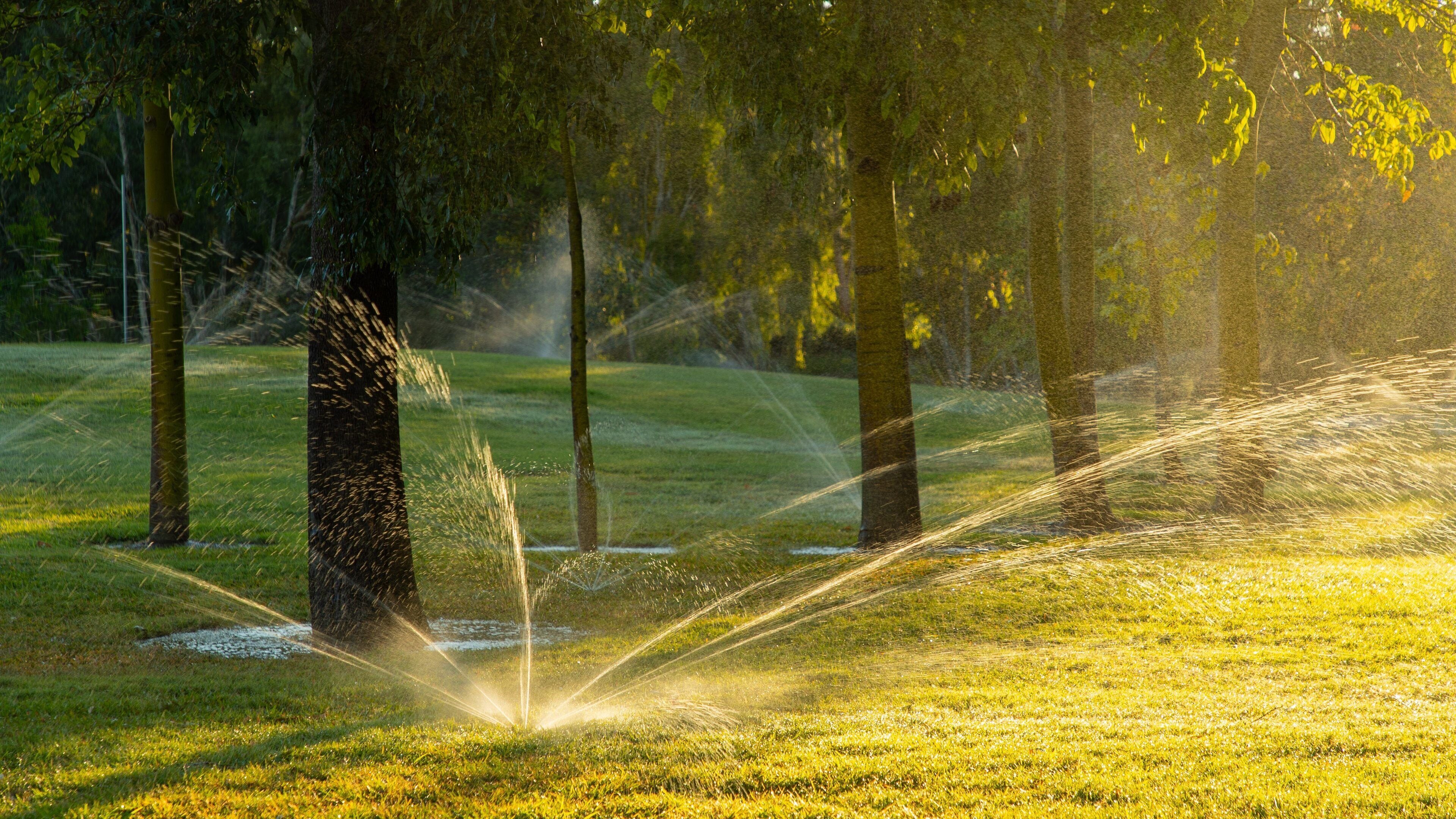 Kershaw Gardens featuring a sunset and a park
