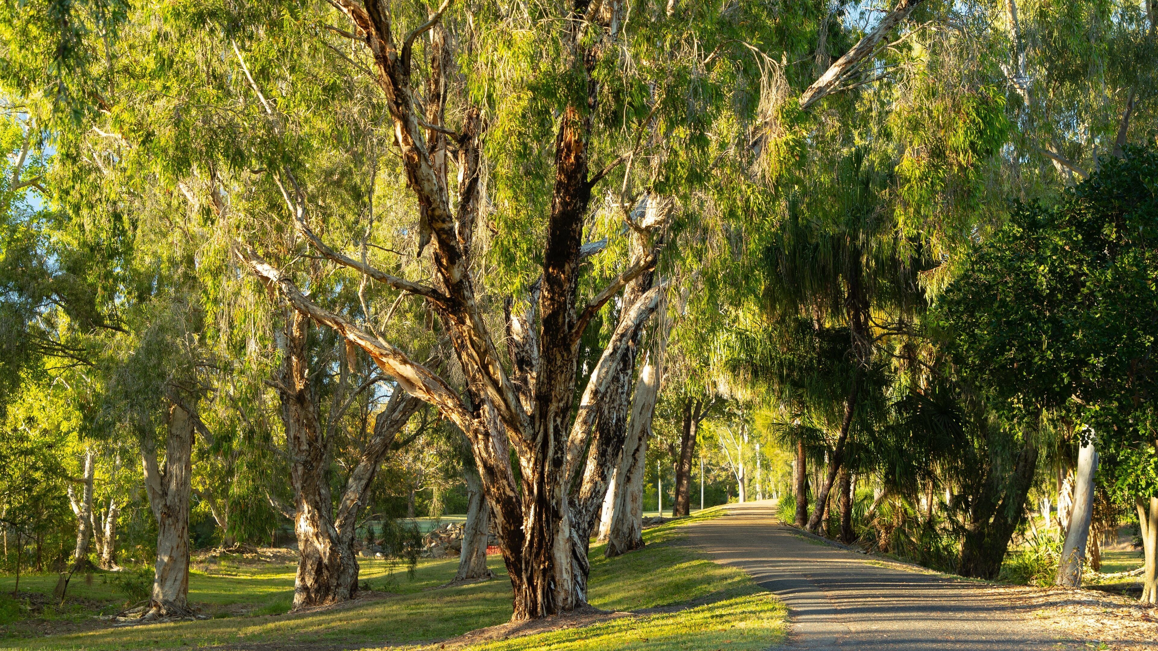 Kershaw Gardens featuring a park