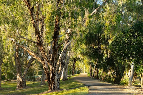 Kershaw Gardens featuring a park