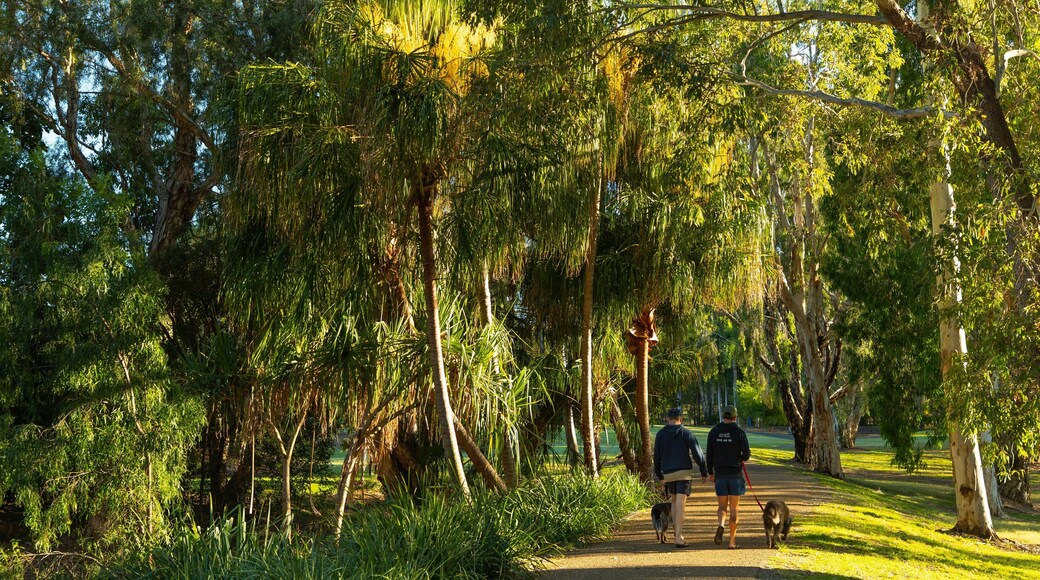 Kershaw Gardens which includes a garden as well as a couple