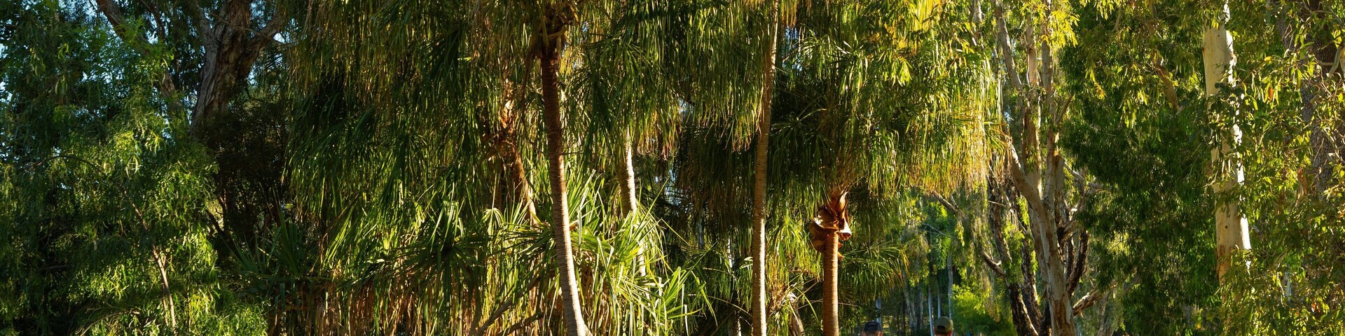 Kershaw Gardens which includes a garden as well as a couple