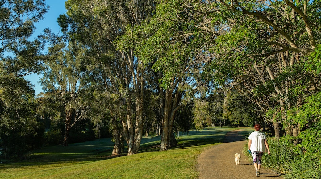 Kershaw Gardens which includes a park as well as an individual femail