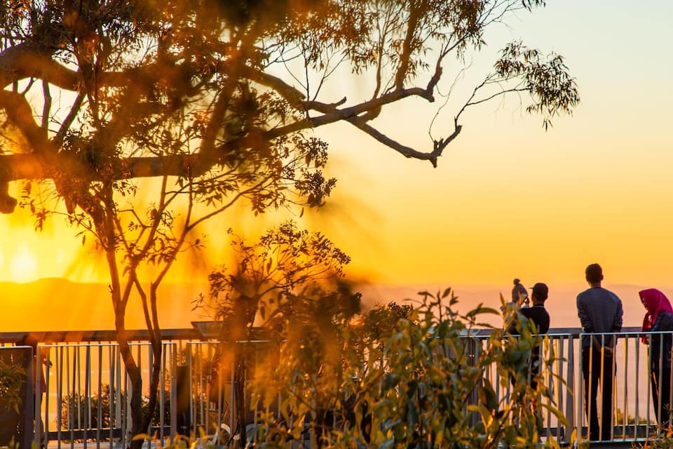 A sunset with silhouettes of people on a balcony overlooking a landscape with trees and a fence.