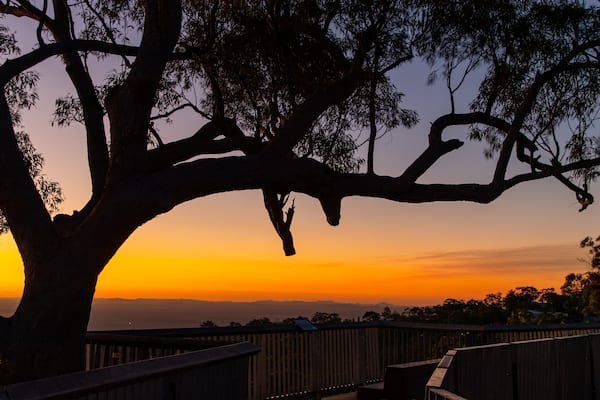 Mt Archer showing views and a sunset
