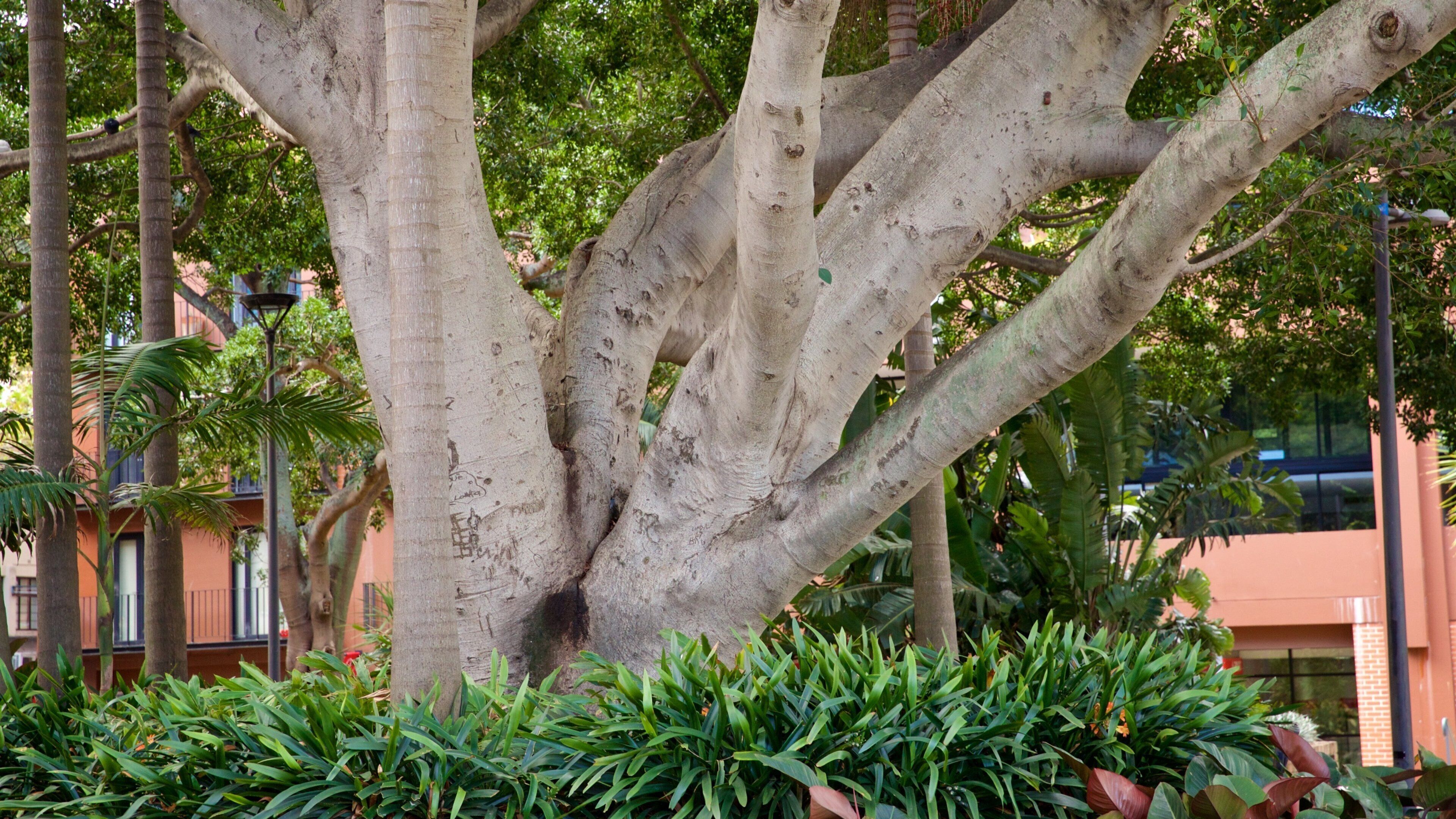 El Alamein Fountain que incluye un jardín