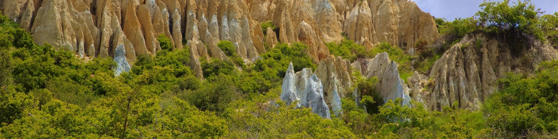 A rugged cliff with unique rock formations and dense green vegetation at its base.
