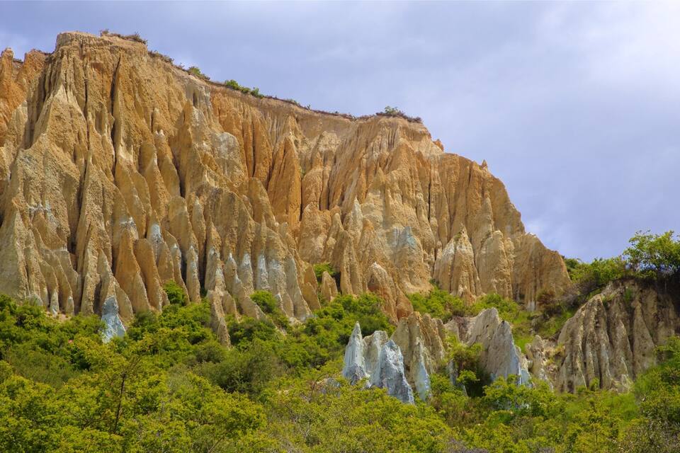 A rugged cliff with unique rock formations and dense green vegetation at its base.