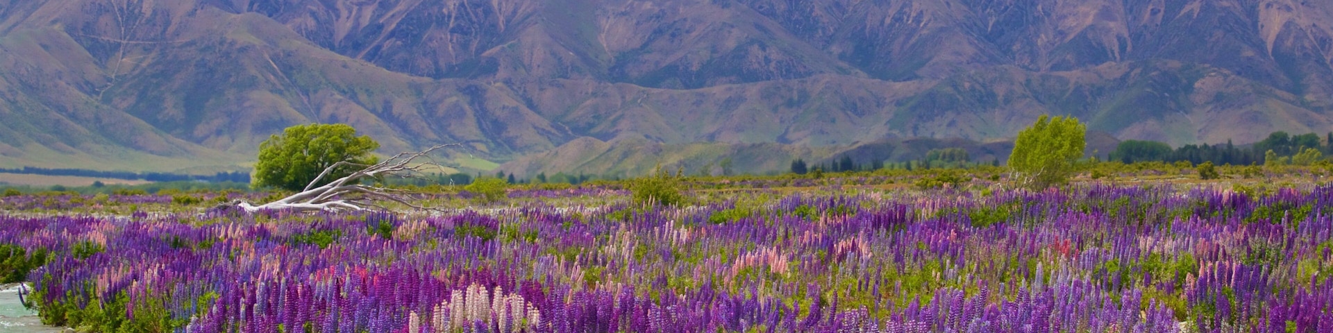 Clay Cliffs featuring a river or creek, mountains and wildflowers