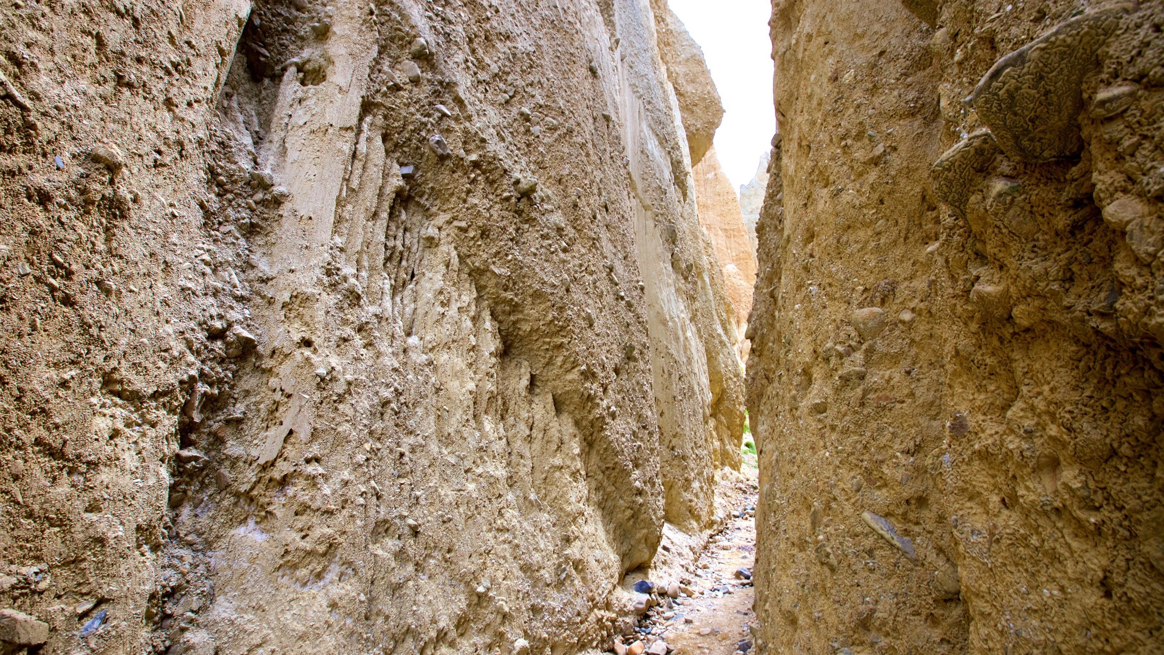 Clay Cliffs which includes a gorge or canyon