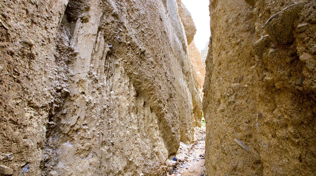 Clay Cliffs which includes a gorge or canyon