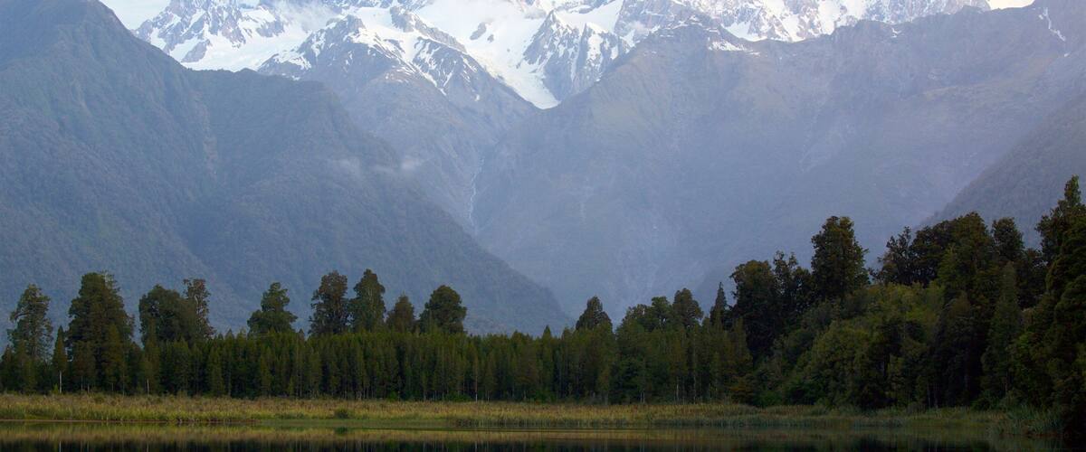 Fox Glacier showing a lake or waterhole, forest scenes and snow