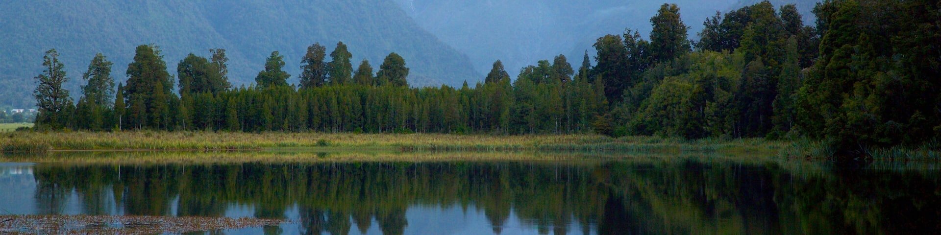 Fox Glacier which includes snow, a lake or waterhole and forests