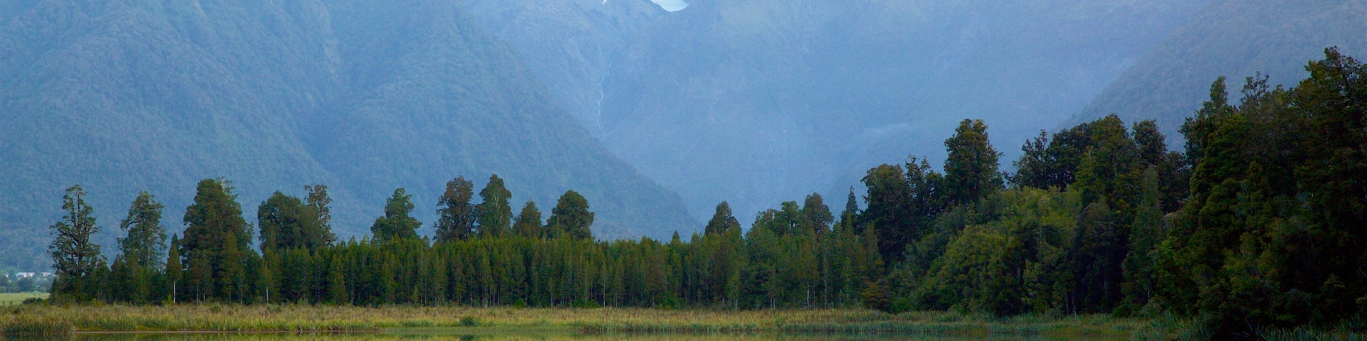 Fox Glacier featuring forests, a lake or waterhole and snow