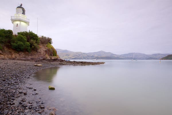 アカロア フィーチャー 灯台, 湾岸あるいはハーバー と 小石のビーチ