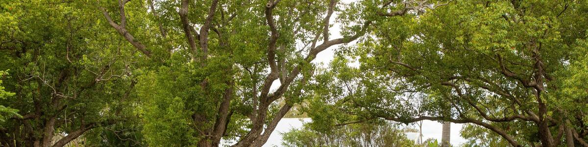 Woodworks Forestry & Timber Museum showing heritage elements and a park