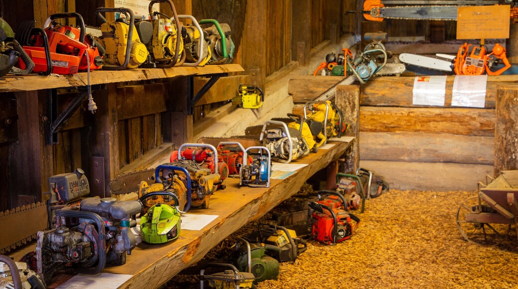 Woodworks Forestry & Timber Museum