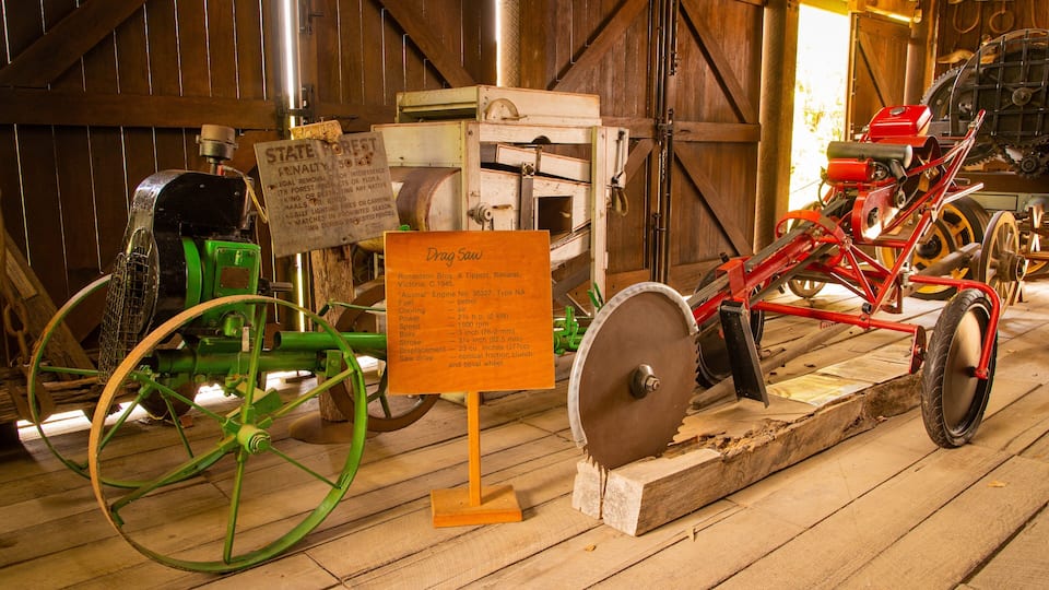 A vintage tractor with a green front wheel and a red rear wheel, a wooden signboard, and a red tractor with a large flywheel.