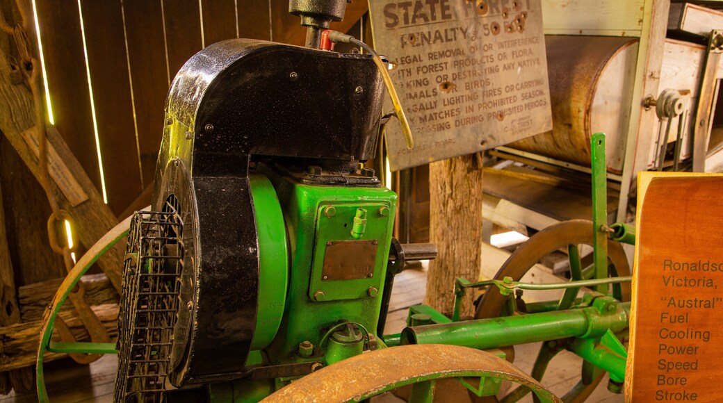 Woodworks Forestry & Timber Museum