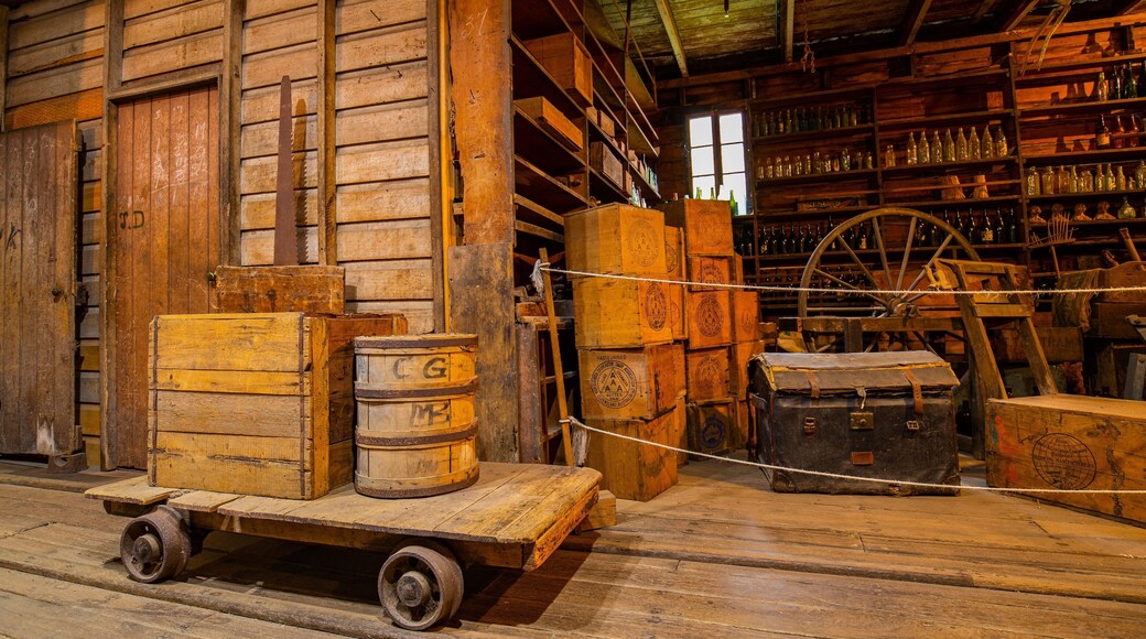 Brennan And Geraghtys Store Museum featuring interior views and heritage elements