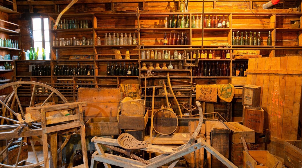 Brennan And Geraghtys Store Museum showing heritage elements and interior views
