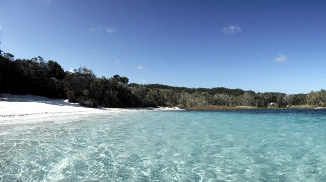 On Fraser Island this is a freshwater lake that takes a 4wd to get to... Crystal clear water !